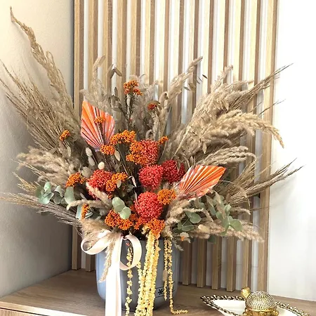 Cozy Rr Sokrat Miho 公寓