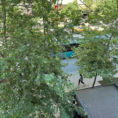 Cozy Rr Sokrat Miho * 地拉那