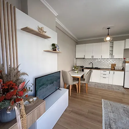 Cozy Rr Sokrat Miho * 地拉那